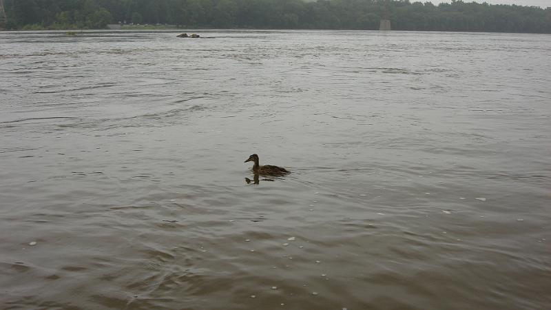 My high water friend.JPG